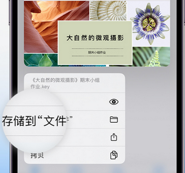 连云港apple维修中心分享iPhone文件应用中存储和找到下载文件