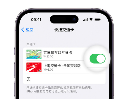 连云港apple维修点分享iPhone上更换Apple Pay快捷交通卡手绘卡面 