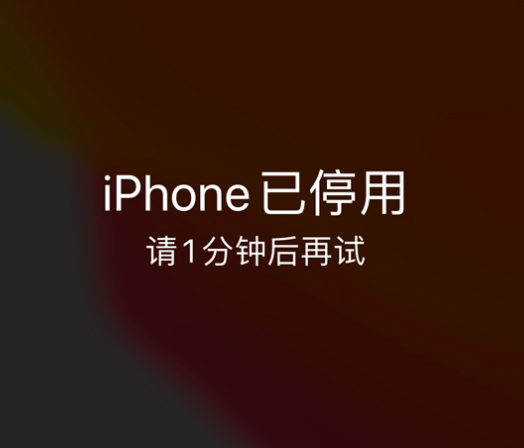 连云港苹果手机维修分享:iPhone 显示“不可用”或“已停用”怎么办？还能保留数据吗？ 