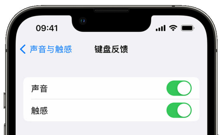 连云港苹果手机维修分享iPhone 14触感键盘使用方法 