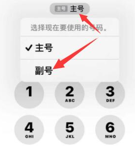 连云港苹果14维修店分享iPhone 14 Pro Max使用副卡打电话的方法 