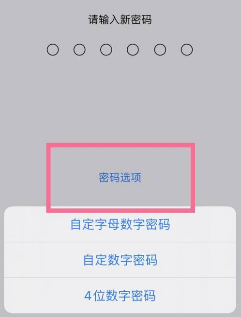 连云港苹果14维修分享iPhone 14plus设置密码的方法 