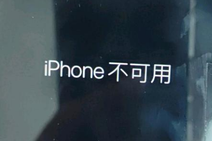 连云港苹果服务网点分享锁屏界面显示“iPhone 不可用”如何解决 