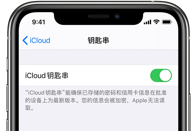 连云港苹果手机维修分享在 iPhone 上开启 iCloud 钥匙串之后会储存哪些信息 