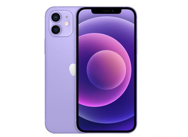 连云港苹果手机维修分享现阶段要不要入手紫色版iPhone12 