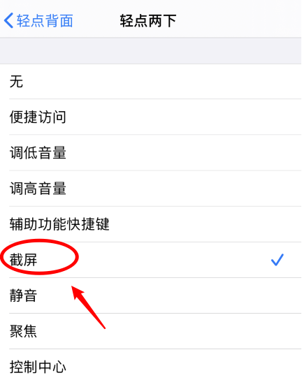 连云港苹果手机维修分享iPhone12如何启用双击截屏 